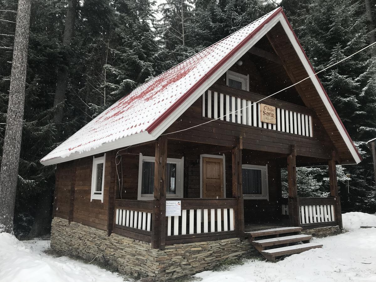 בורובץ Chalet Sofia מראה חיצוני תמונה