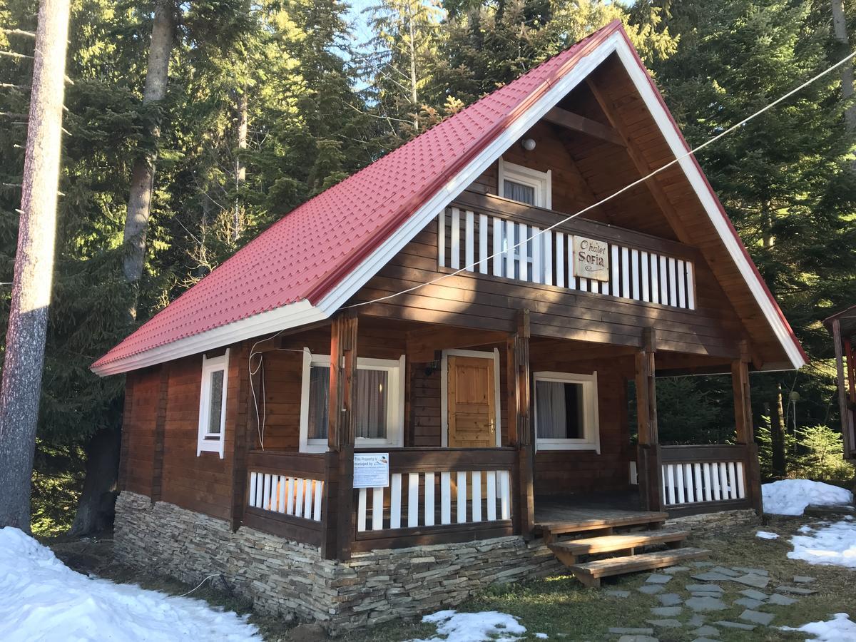 בורובץ Chalet Sofia מראה חיצוני תמונה